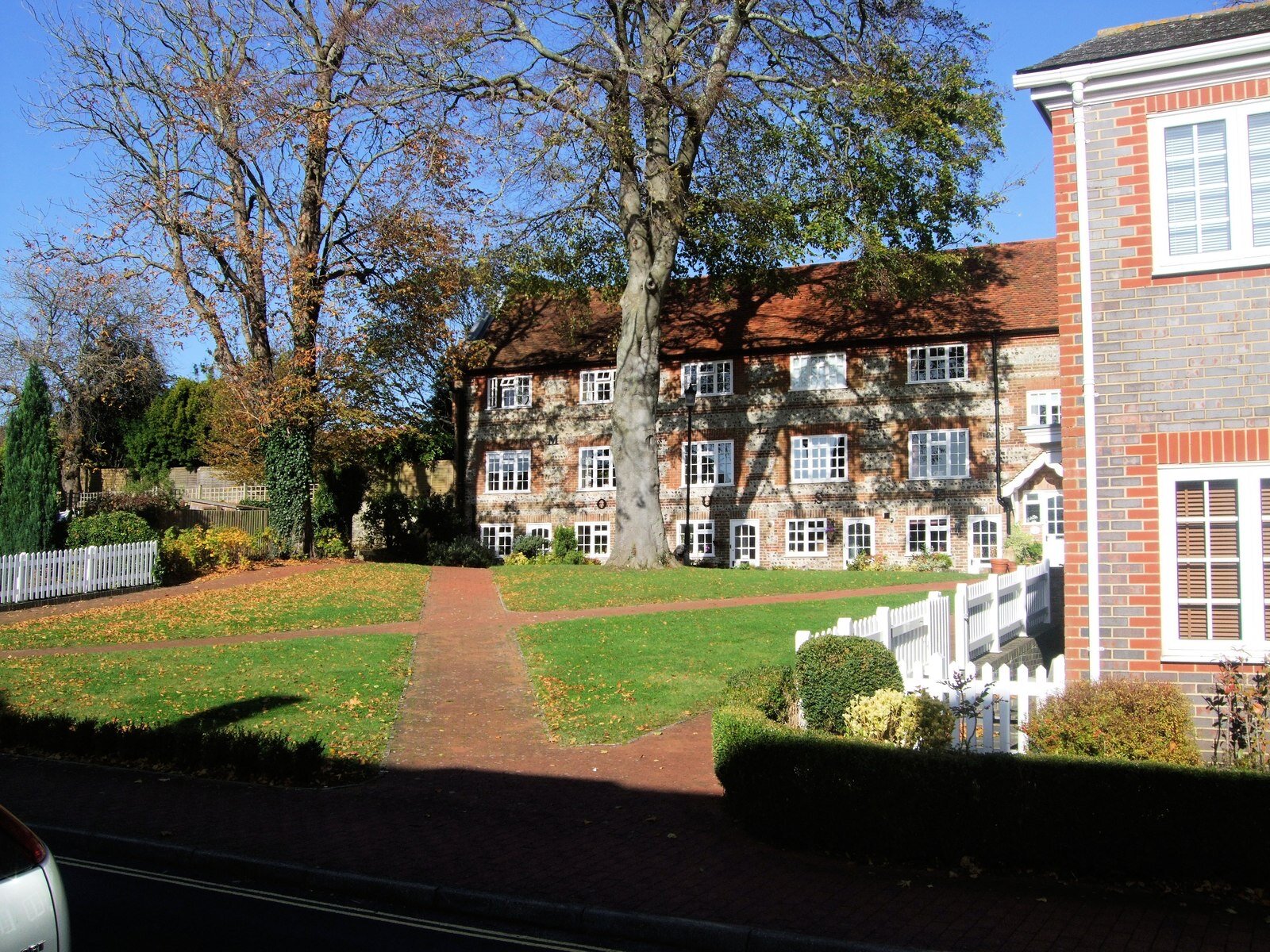 A flint and brick terrace with white sash windows behind a lawn and autumn trees in Cluny Street, Lewes